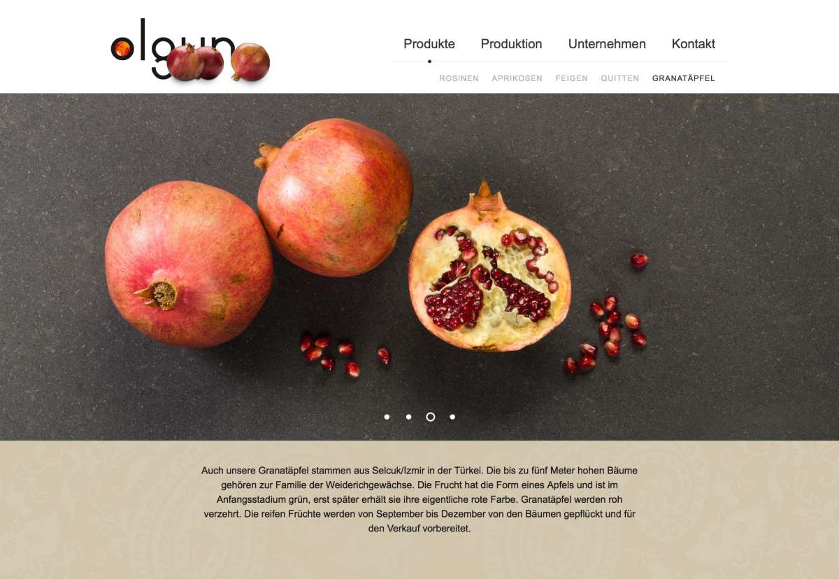 Screenshot www.olgun.at / Website olgun Lebensmittel