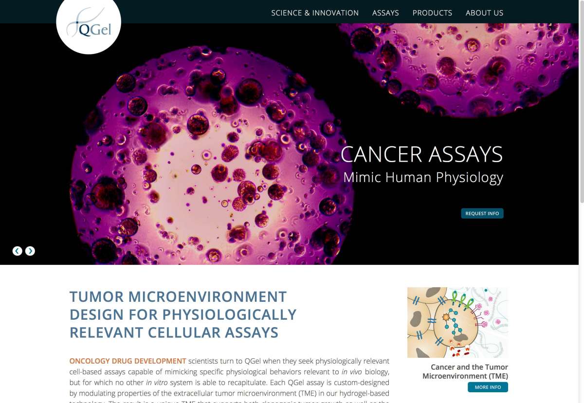 Screenshot www.qgelbio.com / Website QGel Innovating